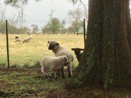 Monasterio San Pablo de la Cruz Actualidad
